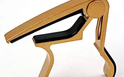 Learn What The Pros Are Hiding When It comes to Capos
