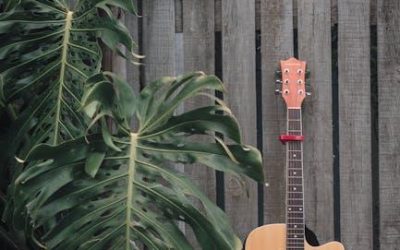 Mastering Guitar: DIY Guide to Perfecting Action