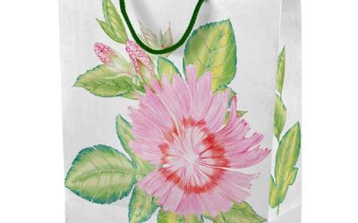 Mastering The Core Chords: Essential Steps for Guitar Beginners