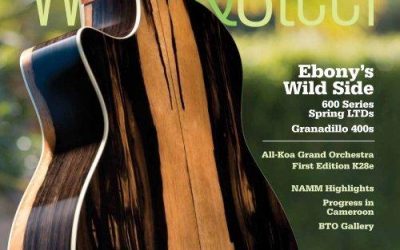 Mastering Sound: Guitarists’ Guide to Aural Ear Training