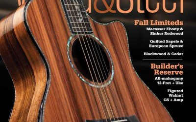Acoustic Guitar Care: Essential Tips for Maintenance
