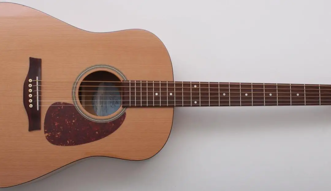 Seagull Guitars: The Ultimate Choice for Novices and Experts