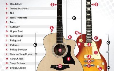 The Guitar: A Detailed Examination of Its Anatomy