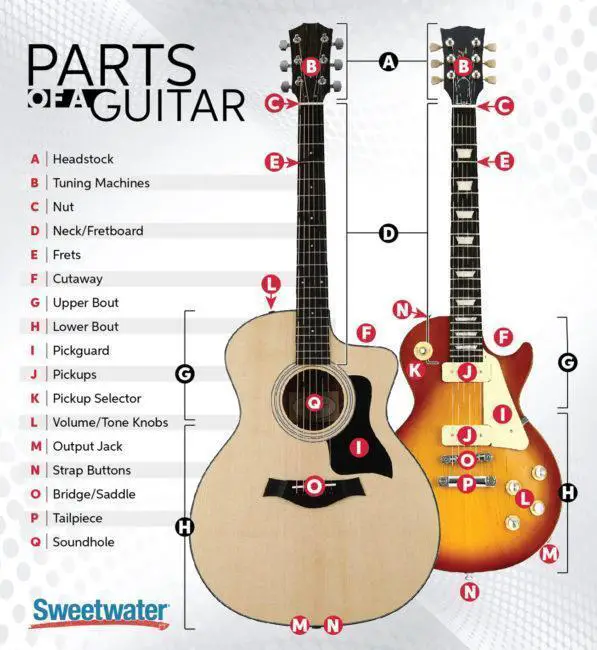 The Guitar: A Detailed Examination of Its Anatomy